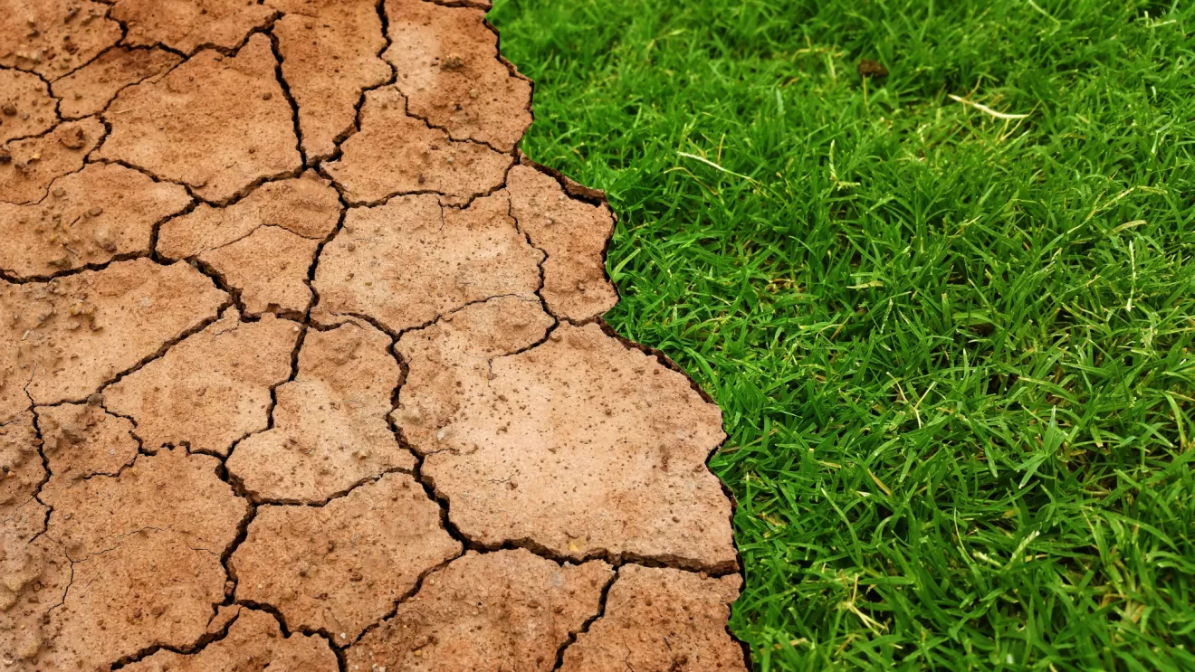 Climate change