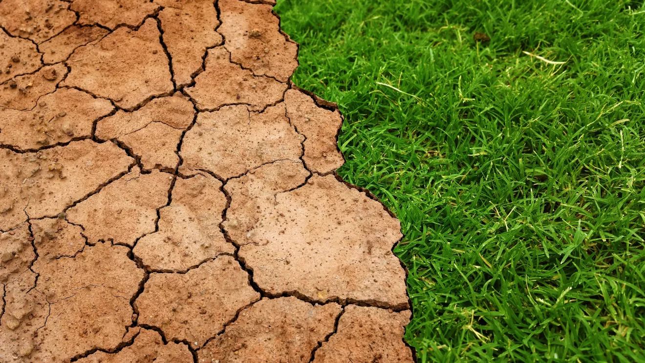 Climate change