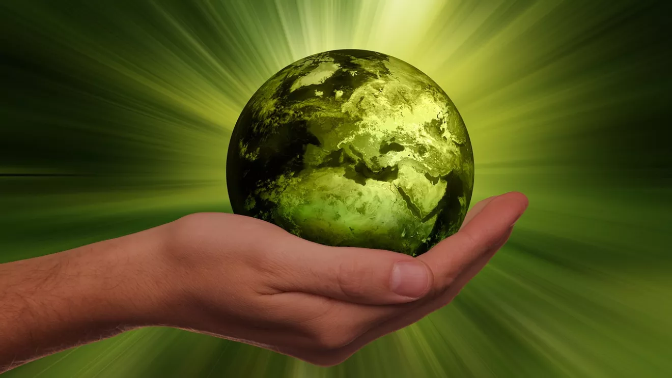 Energy & sustainability
